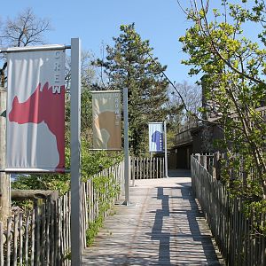 Pathway to CREW, Hospital, & Wellness Plaza