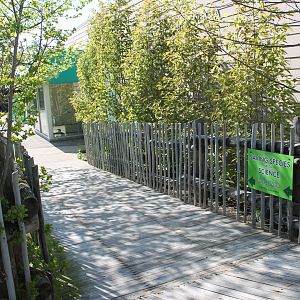 Pathway to CREW, Hospital, & Wellness Plaza