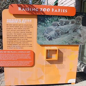 Animal Wellness Plaza