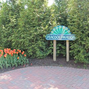 Peacock Pavilion Event Center