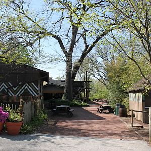 Safari Camp Picnic Shelters
