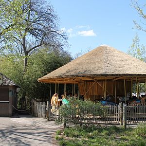 Safari Camp Conservation Carousel