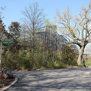 Main Path & Manatee Springs