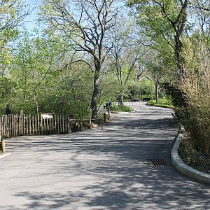 African Veldt Pathway