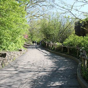 African Veldt/Rhino Reserve Pathway