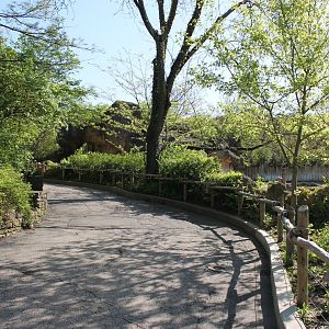 African Veldt/Rhino Reserve Pathway