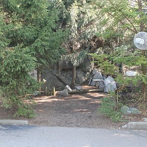 Lords of the Arctic- Arctic Fox & Underwater Viewing