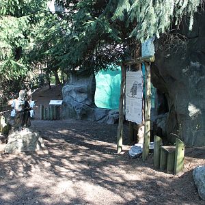 Lords of the Arctic- Polar Bear Underwater Viewing