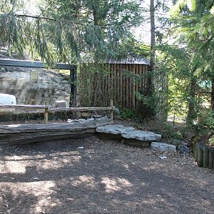 Lords of the Arctic- Arctic Fox Exhibit