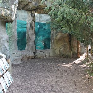 Lords of the Arctic- Polar Bear Underwater Viewing