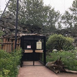 Vulture aviary