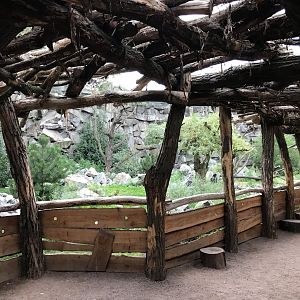Vulture aviary