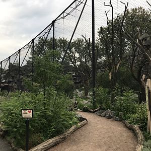 Vulture aviary