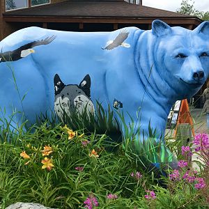 Welcome to the Alaska Zoo