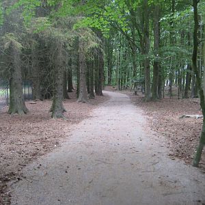 Brønderslev Psykiatripark - General view