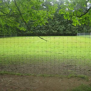 Brønderslev Psykiatripark - Fallow deer exhibit #2