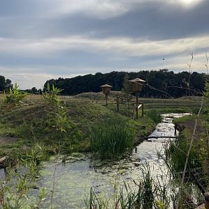 Smooth Coated Otter Enclosure