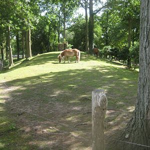 Strandvænget Park - Pony exhibit #1