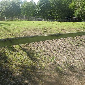 Strandvænget Park - Pony exhibit #2