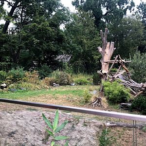 Berlin Zoo- panda enclosure- 2020