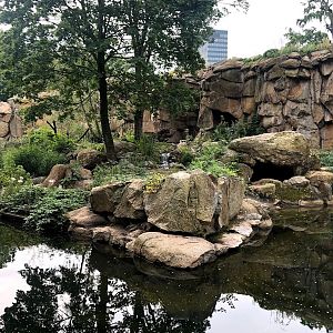 Berlin Zoo- tiger enclosure- 2020