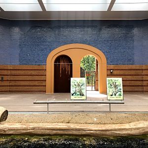 Berlin Zoo- Rothschild's giraffe and reticulated giraffe indoor enclosure- 2020