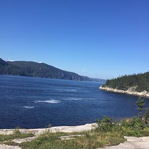 Saguenay-St Lawrence Marine Park
