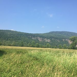 Cap Tourmente National Wildlife Area