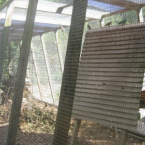 Strandvænget Park - Mixed aviary #1