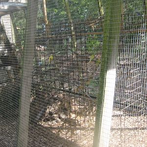 Strandvænget Park - Mixed aviary #2