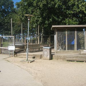 Strandvænget Park - Rabbits and lovebirds