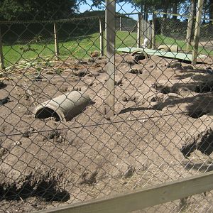Strandvænget Park - Rabbit exhibit