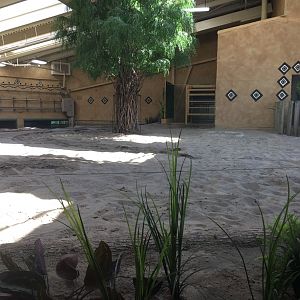 Renovated Hippo Exhibit