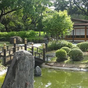 Japanese garden - Belo Horizonte zoo