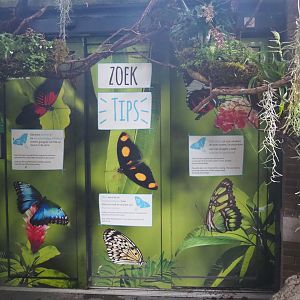 Where to search for butterflies in the Winter garden signage, 2020-06-28