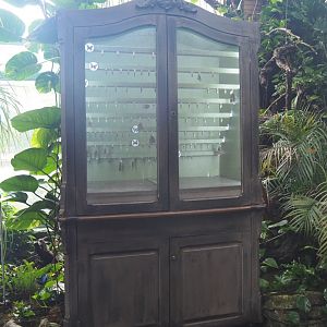 Chrysalis emerging cabinet, 2020-06-28