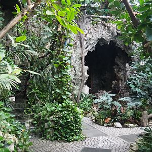 Cave area in the Winter garden/Butterfly house, 2020-06-28