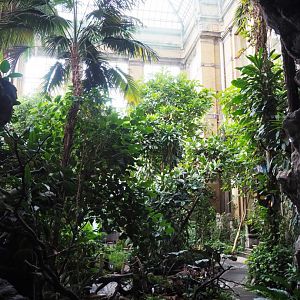 View in the Winter garden/Butterfly house, 2020-06-28