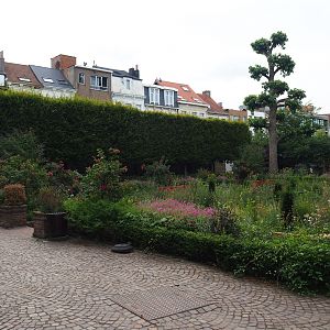 Flemish Garden area, 2020-06-28