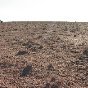 Aussie desert camping scene
