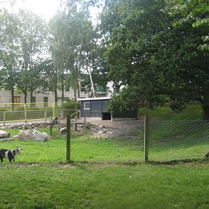 Strandvænget Park - Goat exhibit