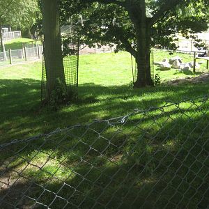 Strandvænget Park - Goat exhibit