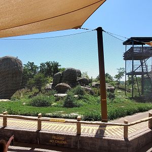 Aug. 2020 - African Grasslands - Lion Exhibit (Left Side)