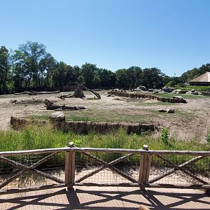 Aug. 2020 - African Grasslands - African Elephant/Plains Zebra/Imapla Exhibit (3.25 Acres)