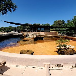 Aug. 2020 - Owen Sea Lion Pool