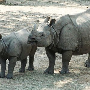 Aug. 2020 - Asian Highlands - Marshall & Hellary