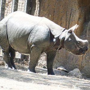 Aug. 2020 - Asian Highlands - Marshall