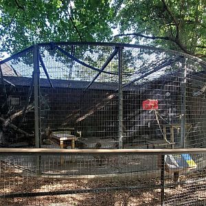 Aug. 2020 - Former Cat Complex - Francois' Langur Exhibit