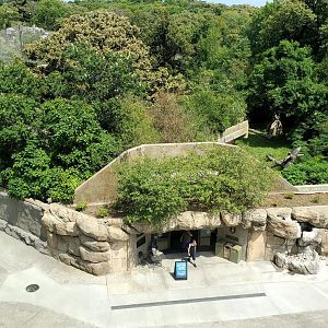 Aug. 2020 - Hubbard Gorilla Valley