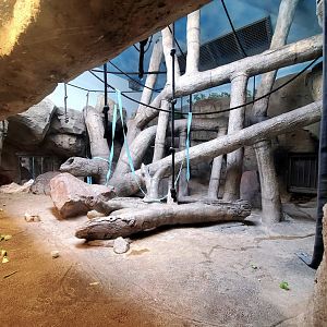 Aug. 2020 - Hubbard Orangutan Forest - Right Indoor Orangutan Exhibit